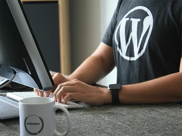 WordPress SEO Expert